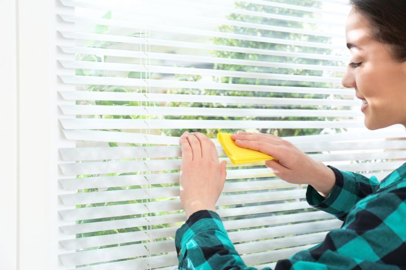 Roman Shade Cleaning in Billings, MT